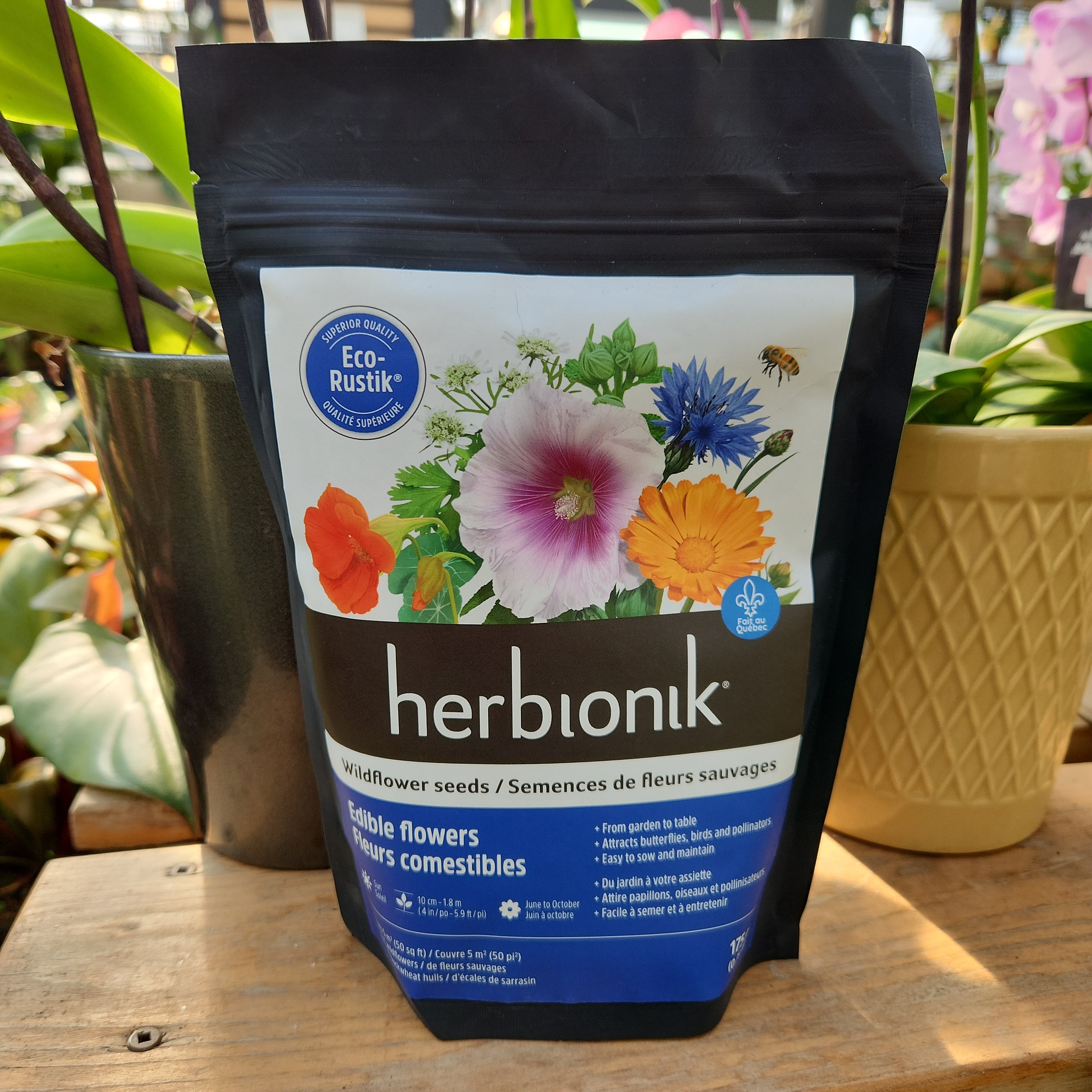 Edible Flower Blend, Wildflower Seed | Edible Flowers